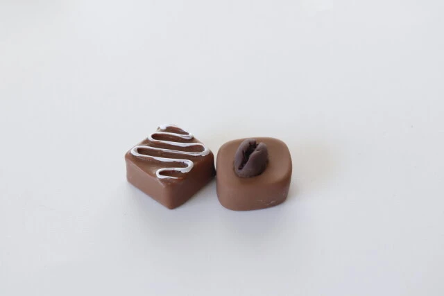 セリアのぬい用 チョコレート 2P
