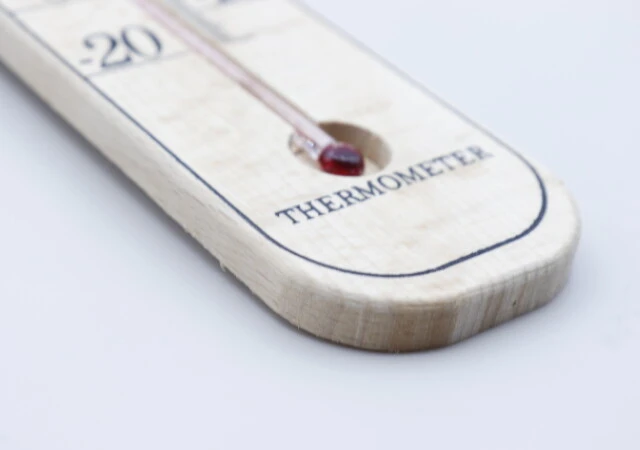 ダイソー　ブナの木温度計（フック付き、壁掛けタイプ）