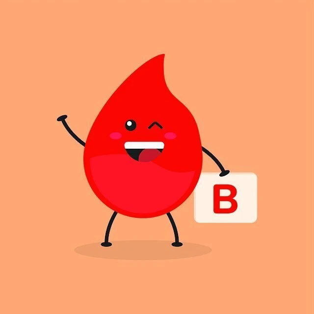 血液型ランキング　B型