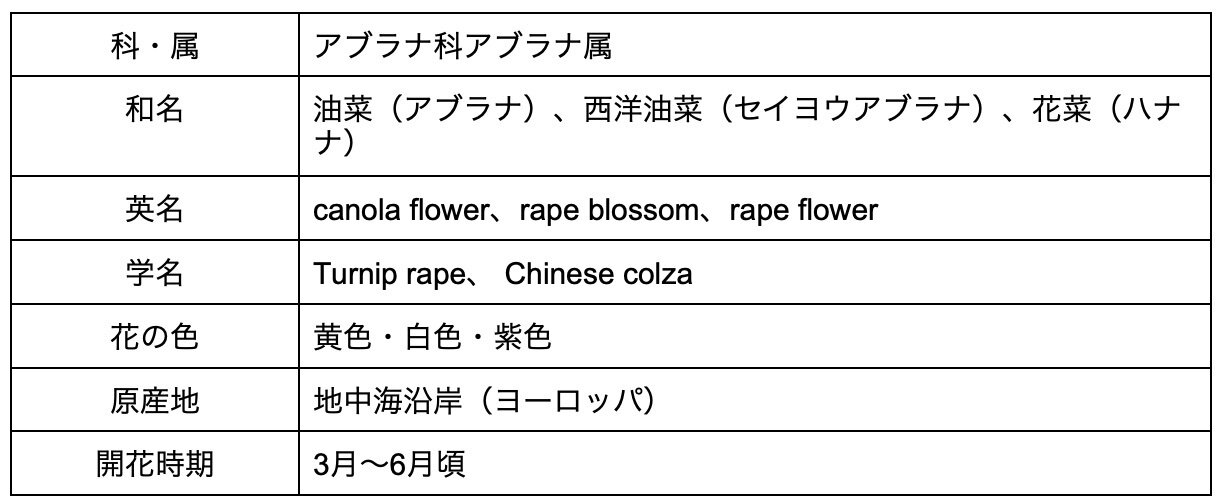 菜の花の花言葉は意味や由来が怖い 誕生花 季節 楽しみ方をまとめて解説 Michill Bygmo ミチル