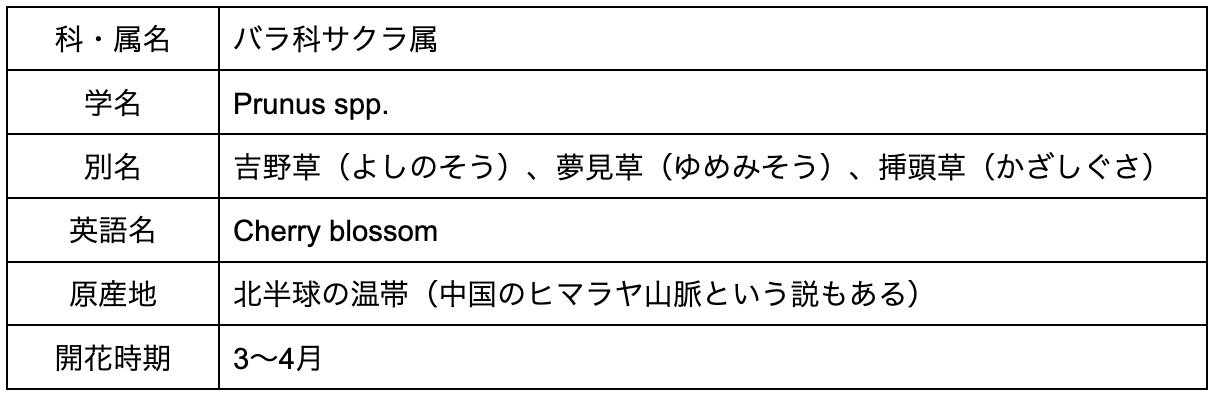 桜 さくら の花言葉は怖い 種類によっても異なる意味や由来を解説 Michill Bygmo ミチル