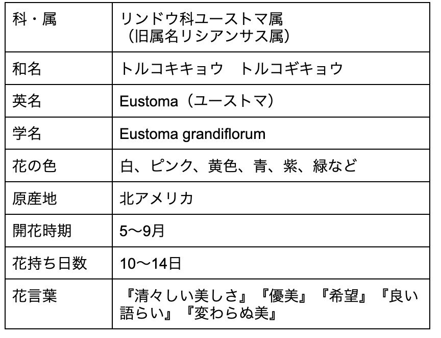 トルコキキョウの花言葉の意味は 色別 白 紫 青 に意味や由来を解説 Michill Bygmo ミチル