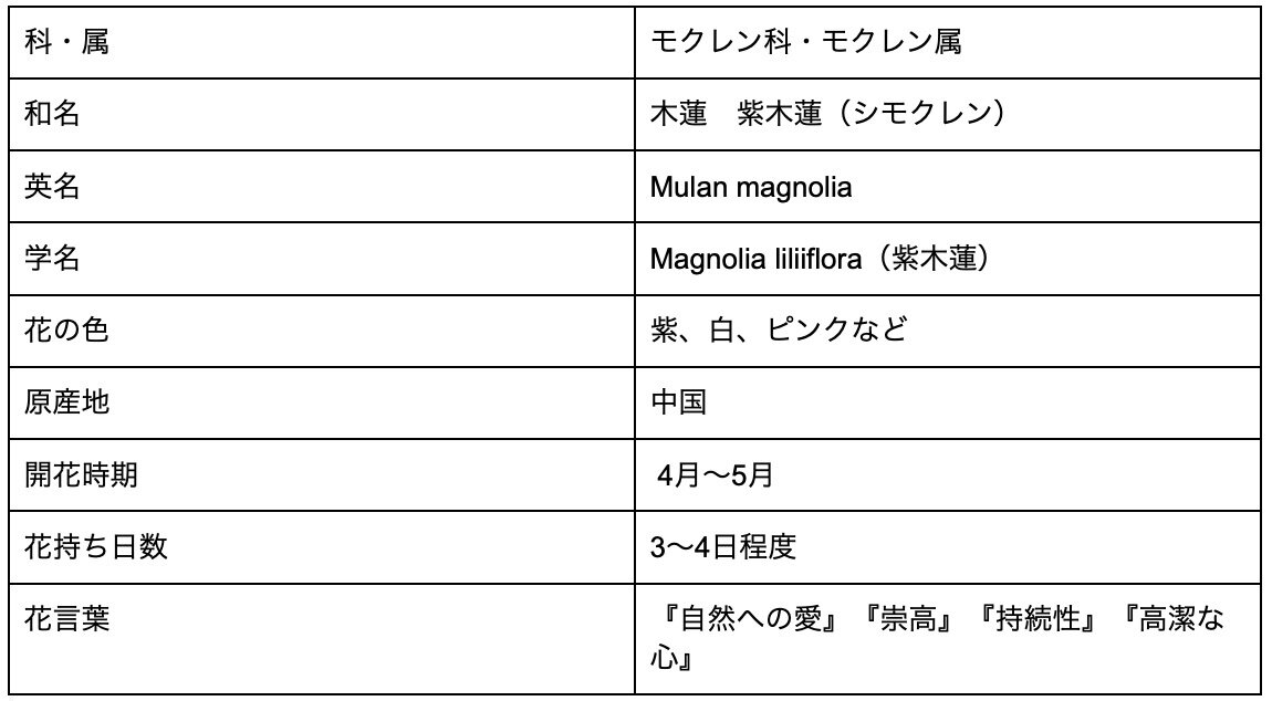 木蓮の花言葉には怖い意味がある 花言葉の由来や別名 種類について解説 Michill Bygmo ミチル