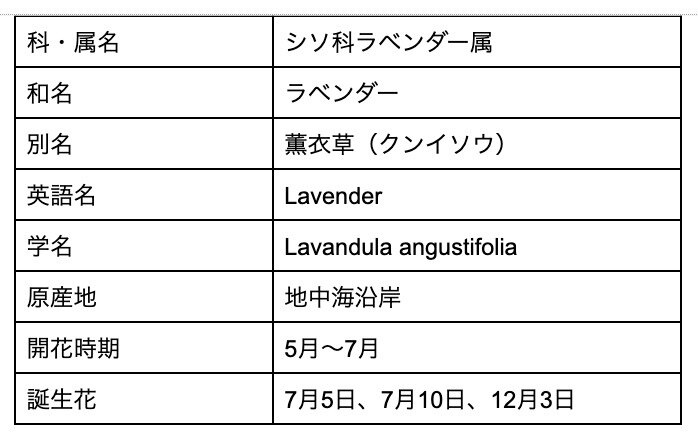 ラベンダーの花言葉は怖い 色別 紫 白 の意味や由来 種類を解説 Michill Bygmo ミチル