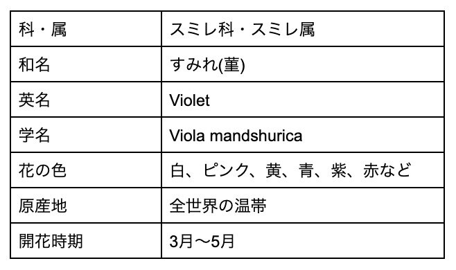 白色のすみれ 菫 は花言葉が怖い 色別の花言葉や由来 誕生花を解説 Michill Bygmo ミチル