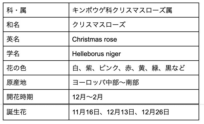 クリスマスローズの花言葉の意味が怖い 名前の由来や誕生花について解説 Michill Bygmo ミチル