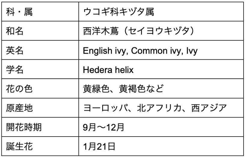 アイビー ヘデラ の花言葉は怖い 風水に良い置き方や育て方を紹介 Michill Bygmo ミチル