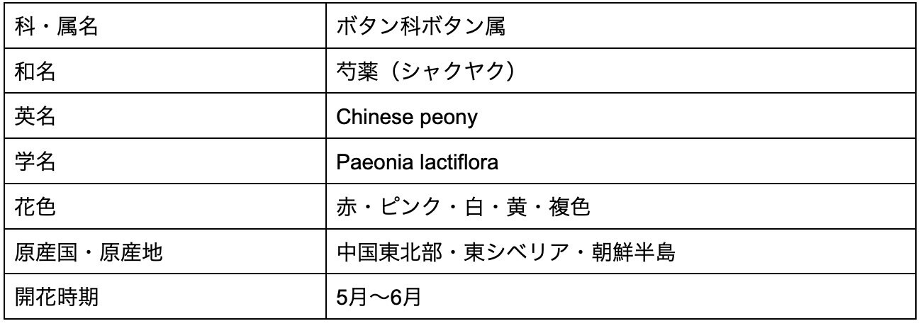 牡丹の花言葉には怖い意味がある 色別の花言葉や名前の由来を解説 Michill Bygmo ミチル