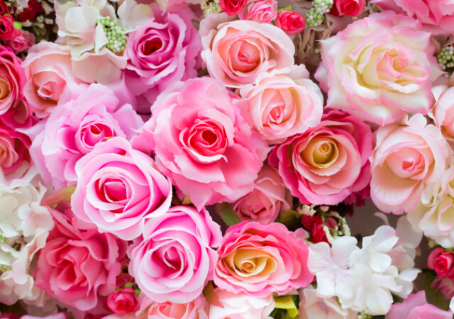 薔薇 バラ の花言葉は怖い 本数 色 咲き方によって異なる意味を解説 Michill Bygmo ミチル