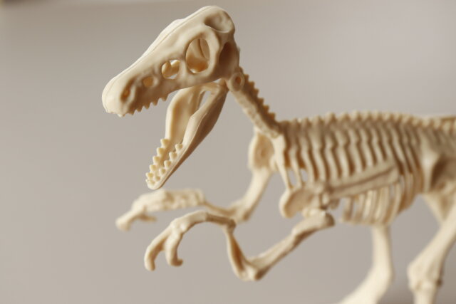 セリア 大発見 恐竜化石コレクション Aタイプ 2種類セット