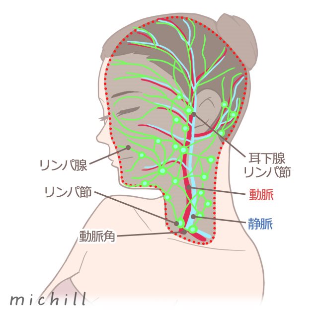 太って見える理由はあごのたるみかも たるみ解消方法 Michill ミチル