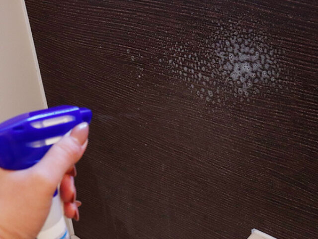 ダイソーのルックプラス バスタブクレンジング 銀イオンプラス ハーバルグリーンの香りで浴室の壁の掃除