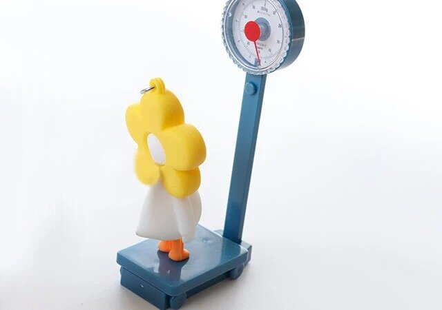 セリアのミニチュア体重計の使用例