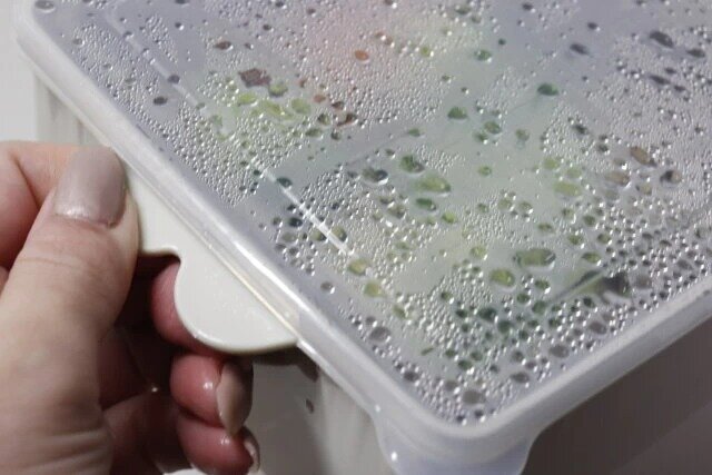 セリアの電子レンジでヘルシー温野菜をチンすると蓋に水滴がたくさんついている