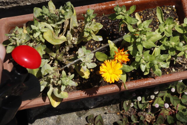 ダイソーの花壇に水やりができるリアルな消火器型水鉄砲！