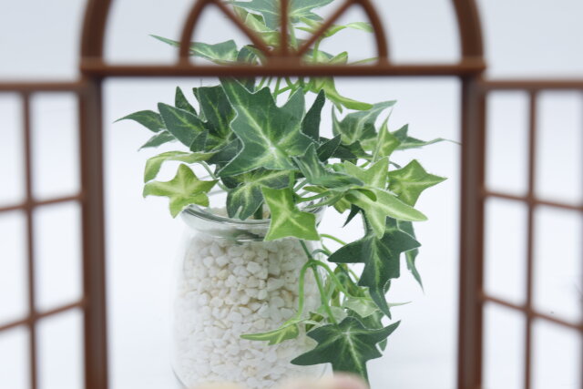 セリアのミニチュア 窓枠 アーチと観葉植物をディスプレイ