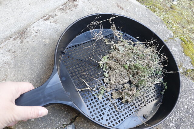 ダイソー　土砂フィルタ　雑草