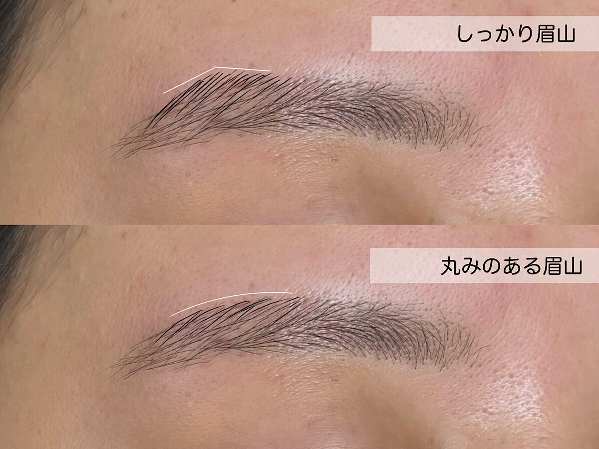 眉山がしっかりある眉と丸みのある眉山を比較