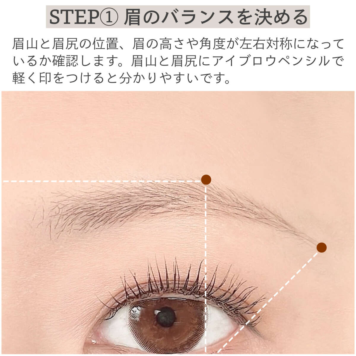 女性の目元と眉に、眉山と眉尻の位置を示す点線と点が描かれた図