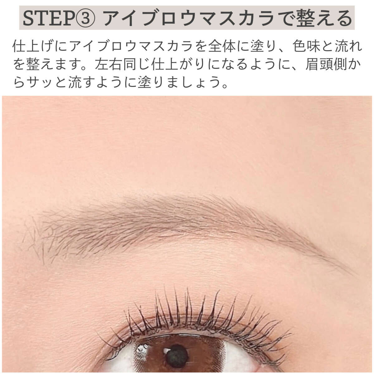 アイブロウマスカラで毛流れが整えられた女性の眉と目元