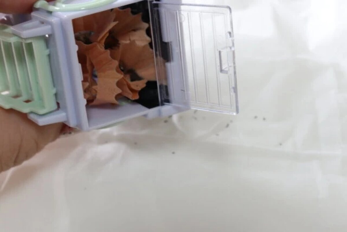 消防車形狀的削筆器的蓋子被打開,露出了積聚的鉛筆屑。 消防車型鉛筆削りの蓋を開け、削りカスが溜まっている様子