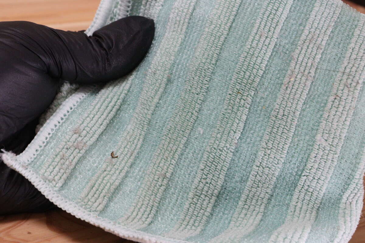 那塊剛用來擦拭的綠色抹布上還殘留著細小的灰塵和髒污。 拭き掃除を終えた緑色のクロスに細かいホコリや汚れがついている状態