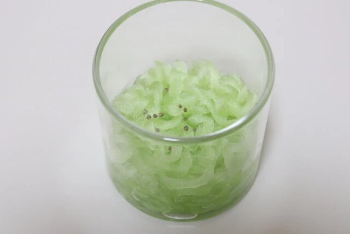 圖片顯示,透明容器中正在生長的纖維上散落著幾粒小種子。 透明な容器に入れた栽培ファイバーの繊維の上に小さな種がいくつかまかれている状態