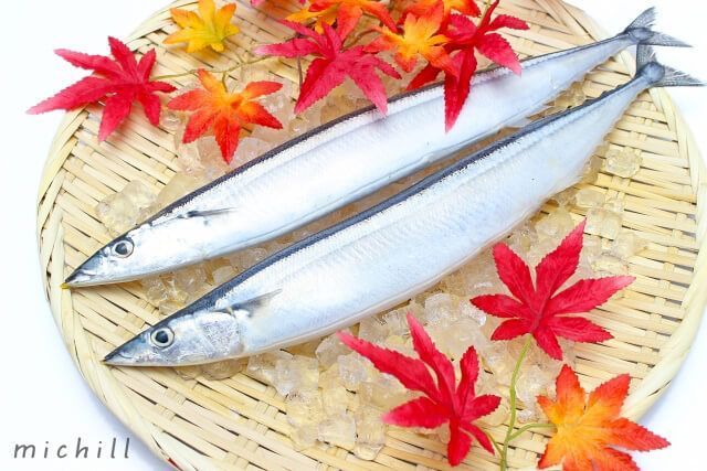 取り入れよう お家で簡単 塩焼き 魚料理レシピ 秋のお魚 魚料理ビギナーにはさんま Michill ミチル