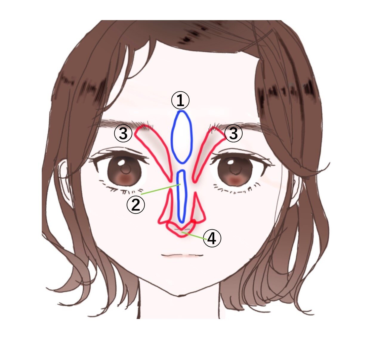 目の大きさも鼻の形も思いのまま マネするだけで驚くほど可愛くなれる 整形級メイク Michill ミチル