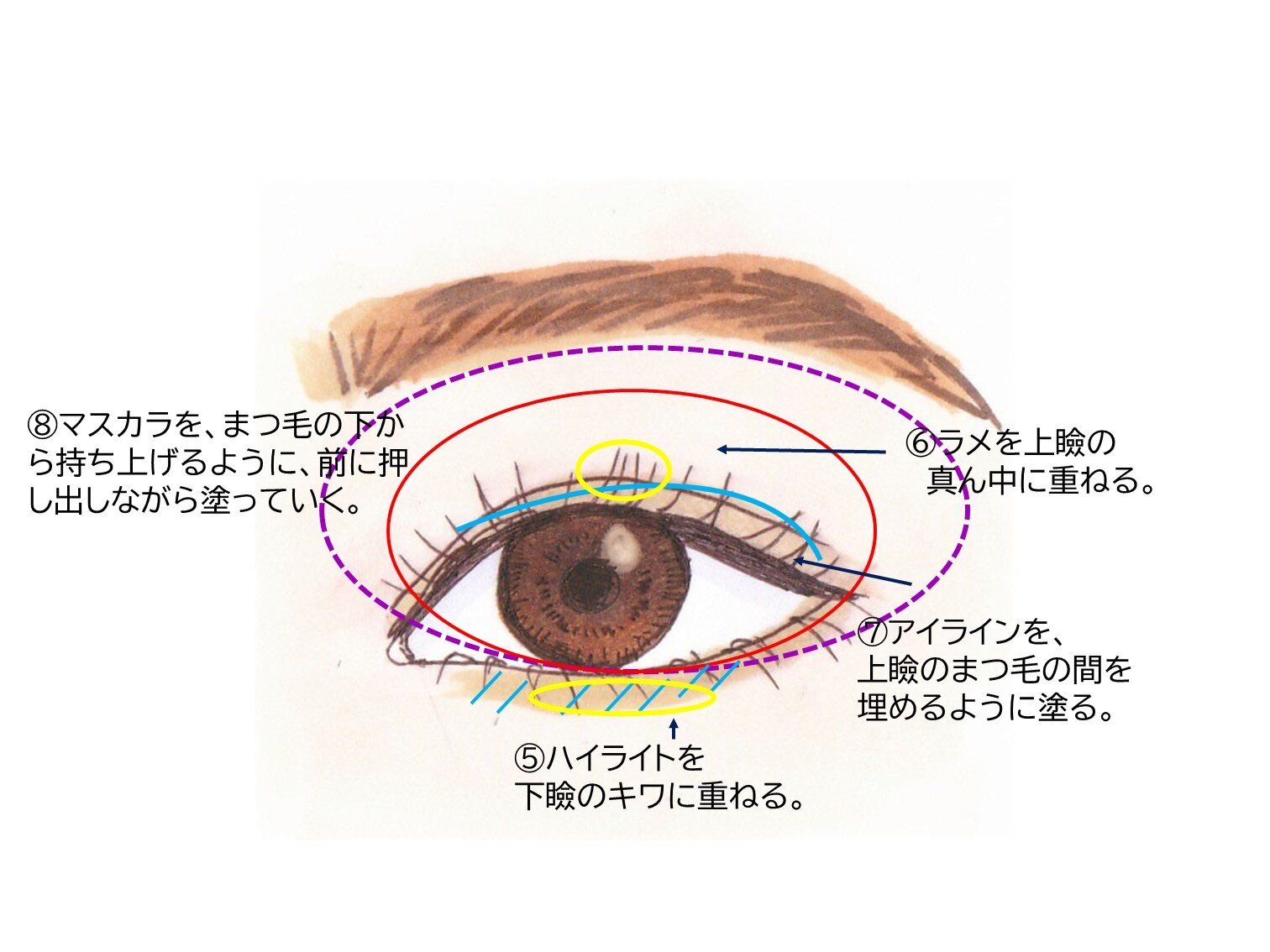 メイク初心者さんも上級者さんも知って損ナシ 基本のアイシャドウの塗り方をプロが解説 Michill ミチル