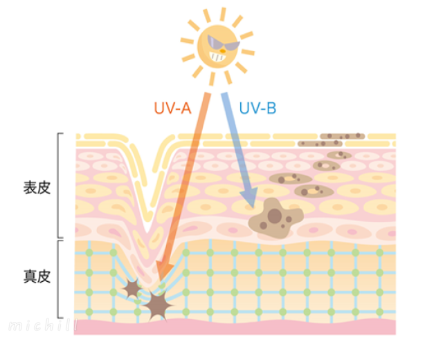 何を基準に選べばいい プロが教えるuvケアの選び方 Michill ミチル