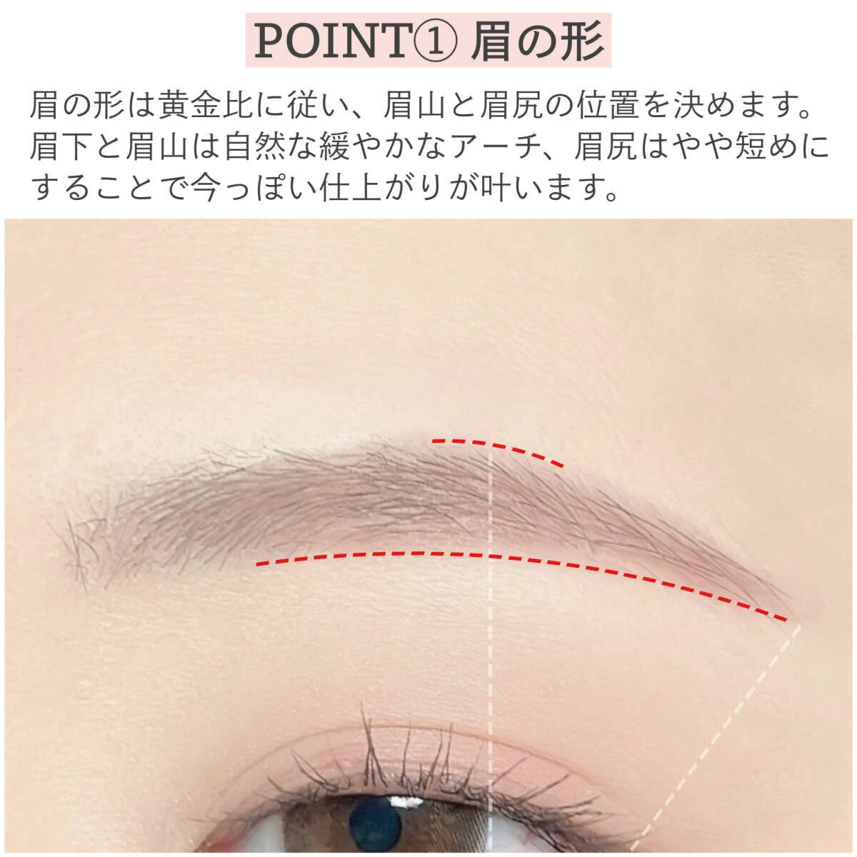 眉の形を整えるポイントを示す赤い破線が引かれた眉のアップ