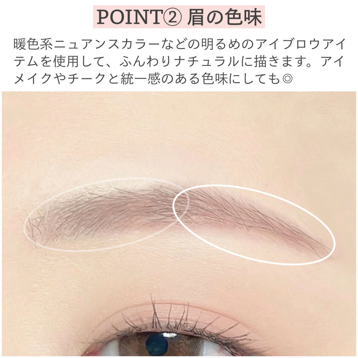 眉の色味やバランスを解説するために白丸で囲まれた眉のアップ