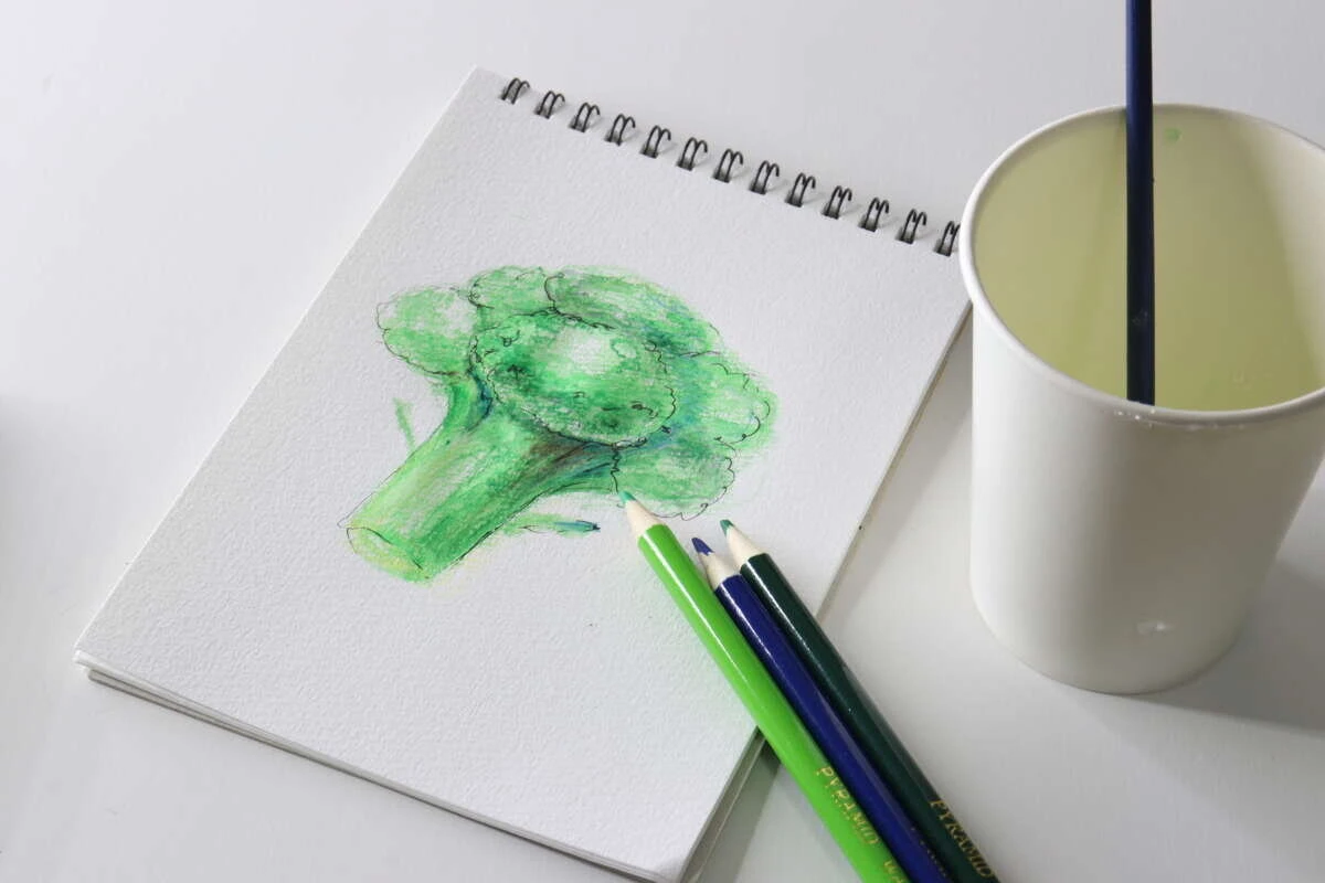 完成したブロッコリーのイラストが描かれたスケッチブックと色鉛筆のセット 完成したブロッコリーのイラストが描かれたスケッチブックと色鉛筆のセット
