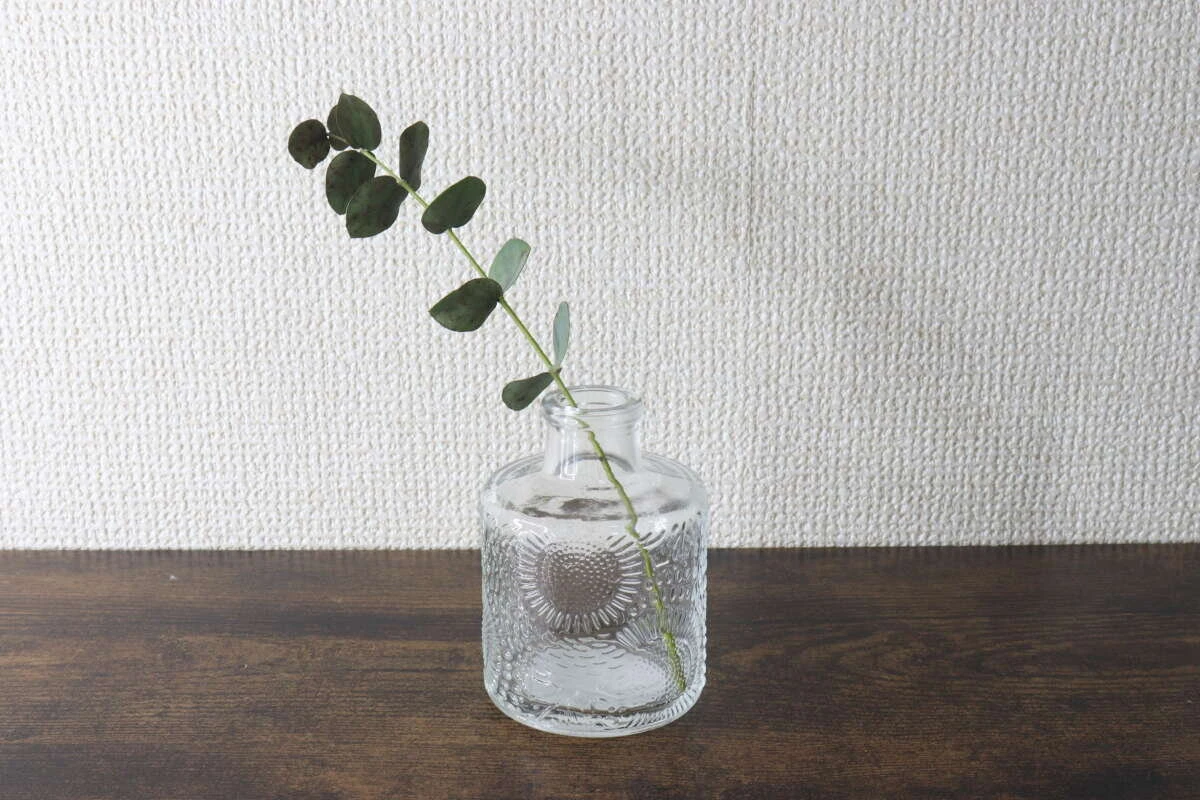 透明なグラスベースにユーカリの葉の枝が一輪挿されている様子 透明なグラスベースにユーカリの葉の枝が一輪挿されている様子