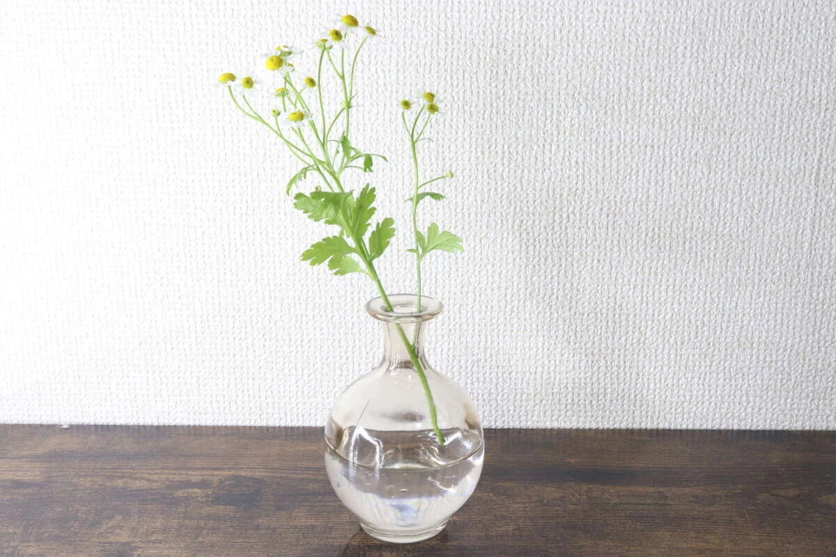 ブラウンの花瓶に水を入れて黄色い小さな花を飾っている様子 ブラウンの花瓶に水を入れて黄色い小さな花を飾っている様子