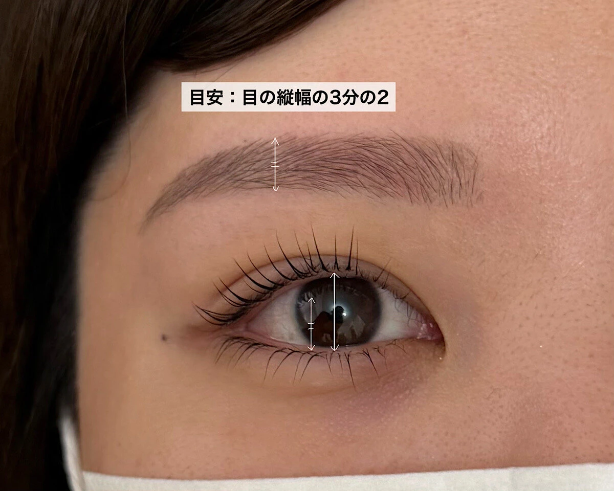 目の縦幅に対する眉の太さの比率を示す目のアップ写真