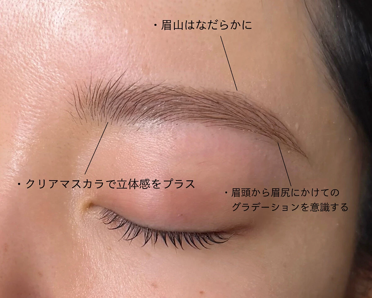 細眉の立体感やグラデーションのコツを文字で示した眉元の写真